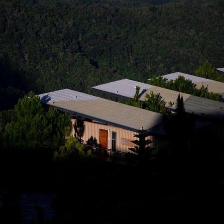 Pino Latte Resort And Hotel Ban Huai Phai Ngoại thất bức ảnh