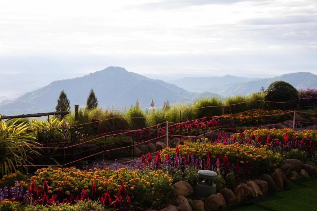 Pino Latte Resort And Hotel Ban Huai Phai Ngoại thất bức ảnh